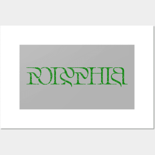 Vintage look Polyphia Distressed Text Green Posters and Art